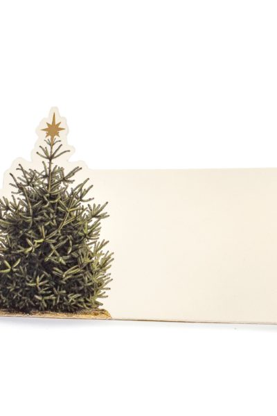 Christmas Tree Place Card