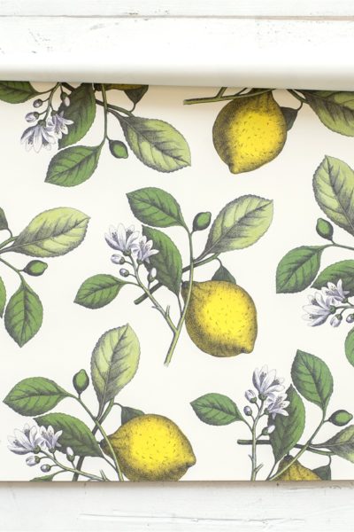 Lemons Paper Placemat