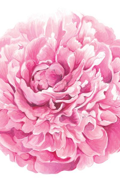 peony paper placemats