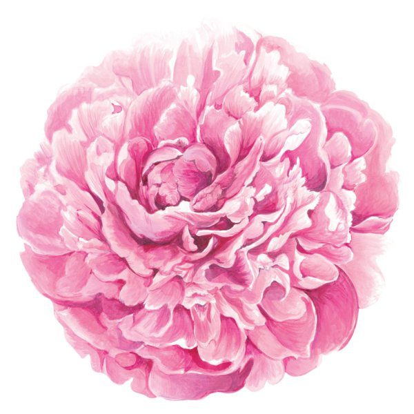 peony paper placemats