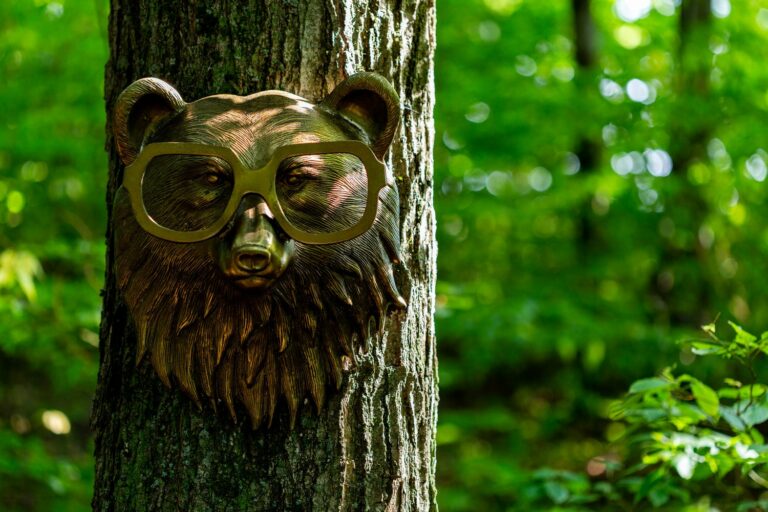 Beatrice The Bear Wall Mount Bronze Eric + Eloise Collection