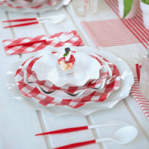 red gingham disposable tableware