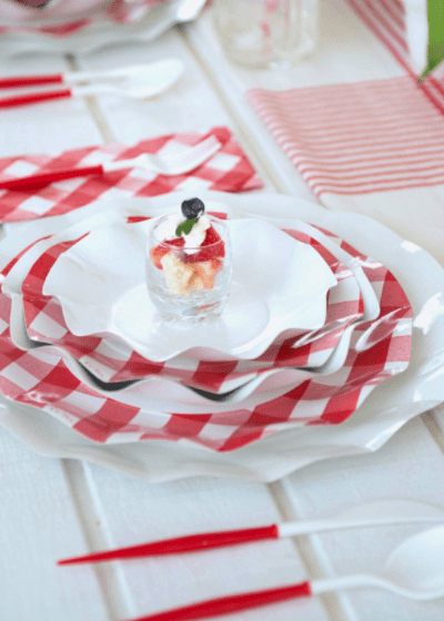 red gingham disposable tableware