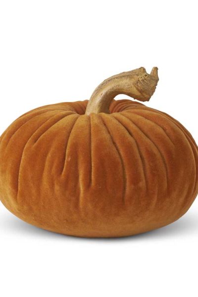 Orange Velvet Pumpkin