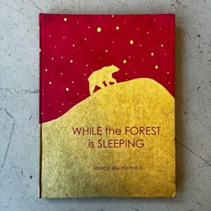 while the forest is sleeping eric + eloise storybook