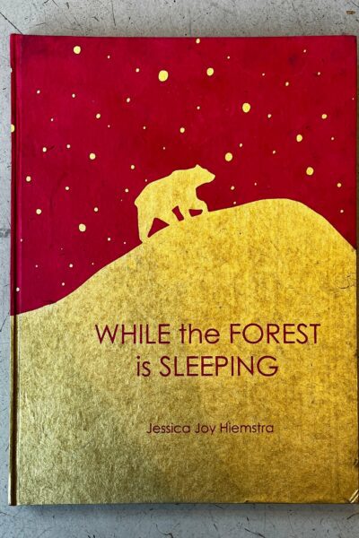 while the forest is sleeping eric + eloise storybook