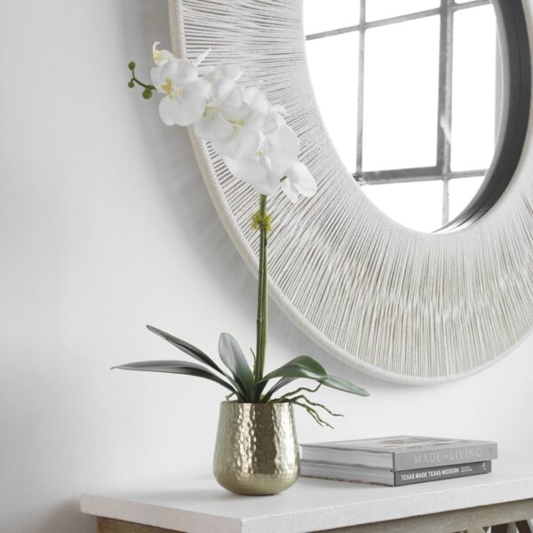 cami orchid with brass pot