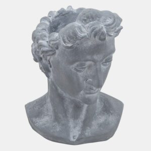 Grey Apollo Bust