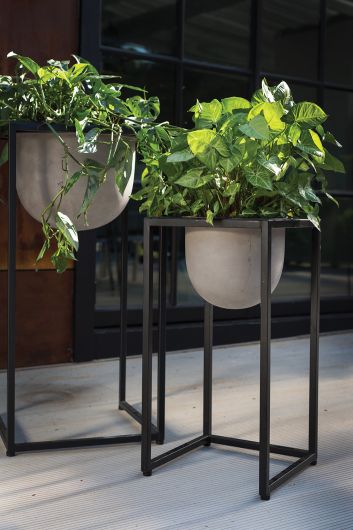SCOUT PLANT STAND