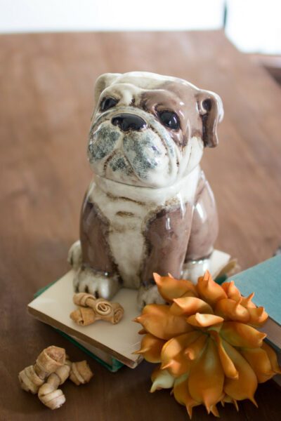 ceramic bull dog canister