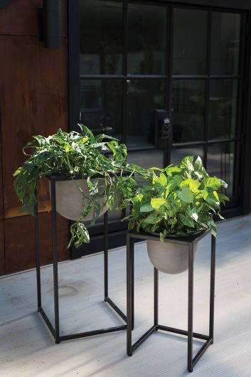 SCOUT PLANT STAND