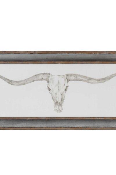 Western Skull Mount Framed Print