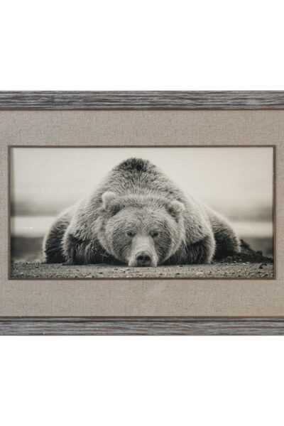 Deep Sleep Framed Print