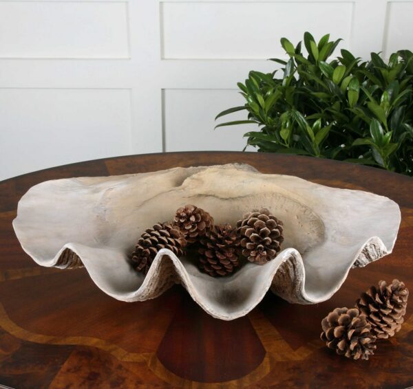 Clam Shell Tray