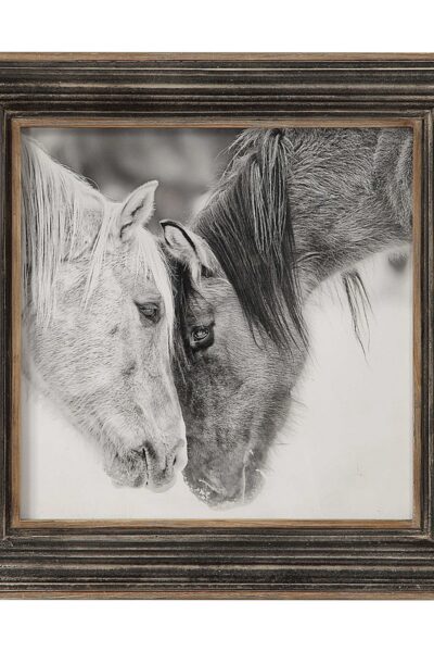 Black and White Horses