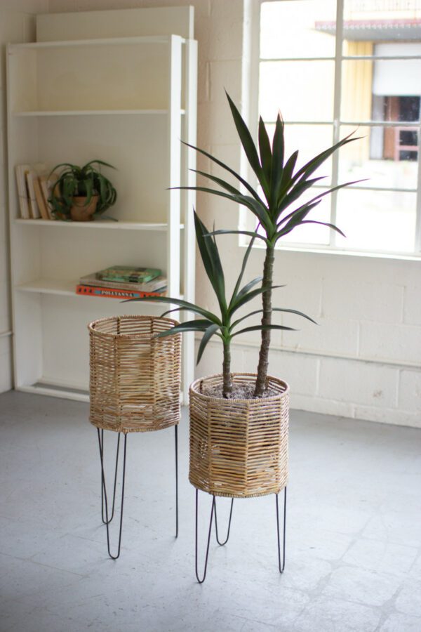 Seagrass Planter with Iron Base