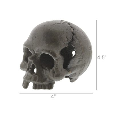 Skull with No Jaw