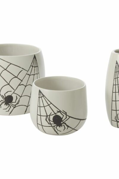 Spider Web Pot