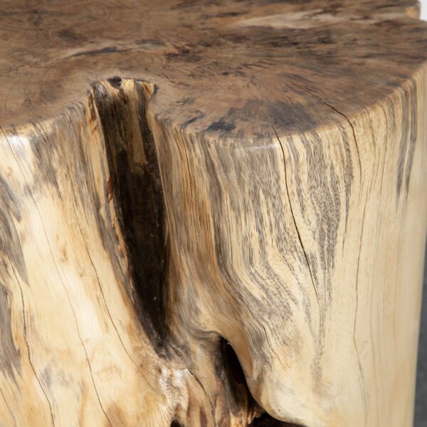 Natural Habitat Accent Stool