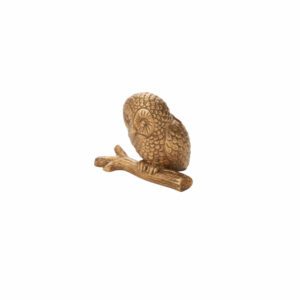 Enchanted Owl Name Card Holder, Set of 6