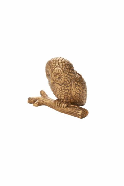 Enchanted Owl Name Card Holder, Set of 6