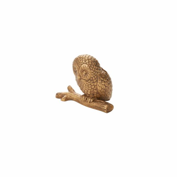 Enchanted Owl Name Card Holder, Set of 6