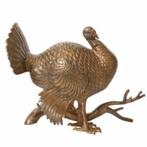 Male Merriam Turkey