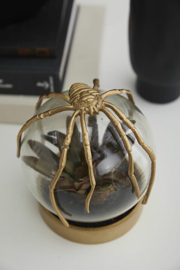 Spider Cloche