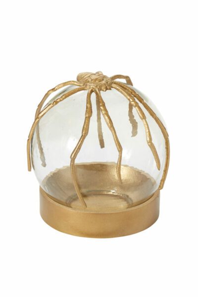 Spider Cloche