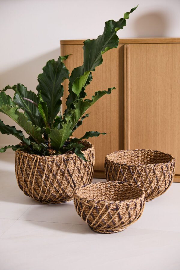 Entwine Basket Set