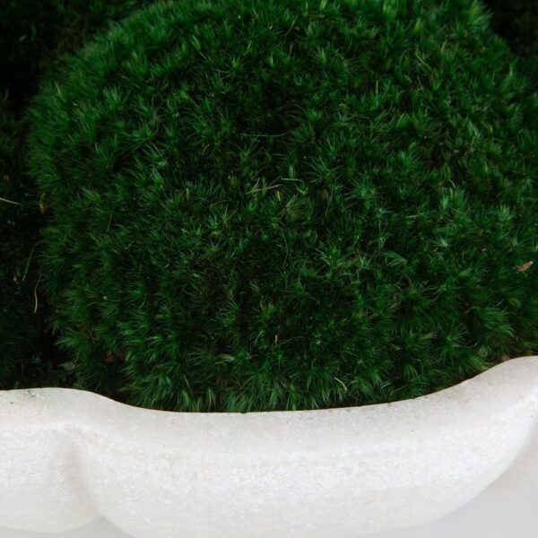 Awaken Moss Centerpiece